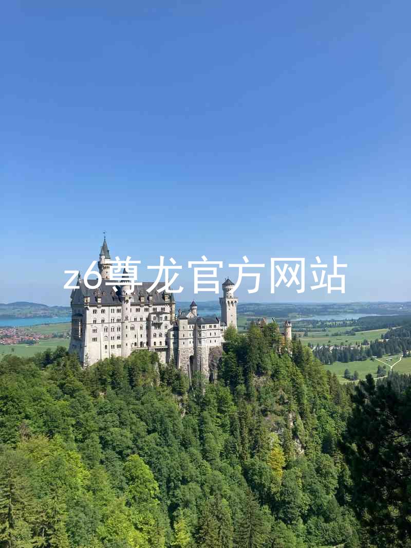 z6尊龙官方网站